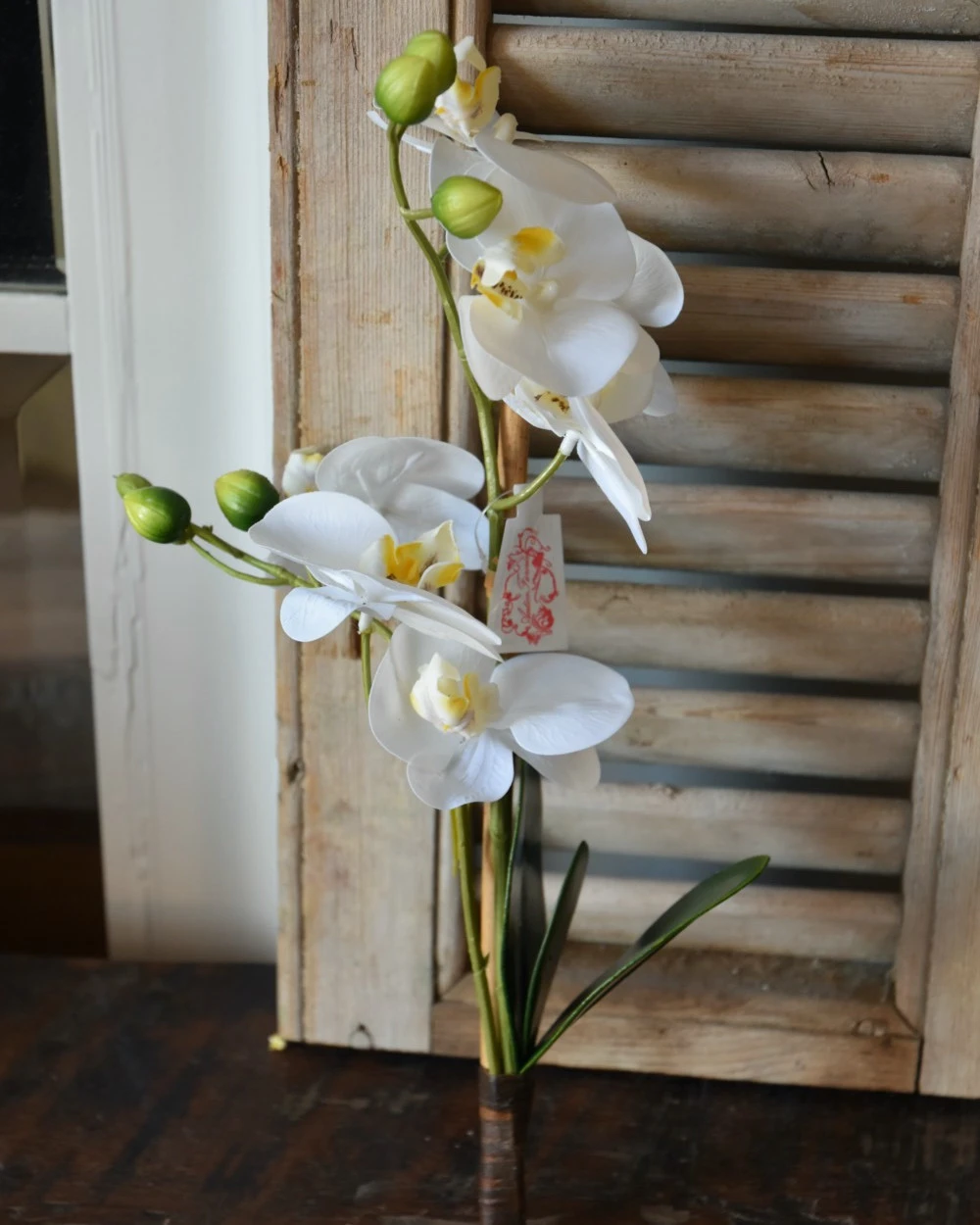 Phalaenopsis Witte Vlinder Orchidee, Real Touch 4 Phalaenopsis Witte Vlinder Orchidee, Real Touch - Afbeelding 2