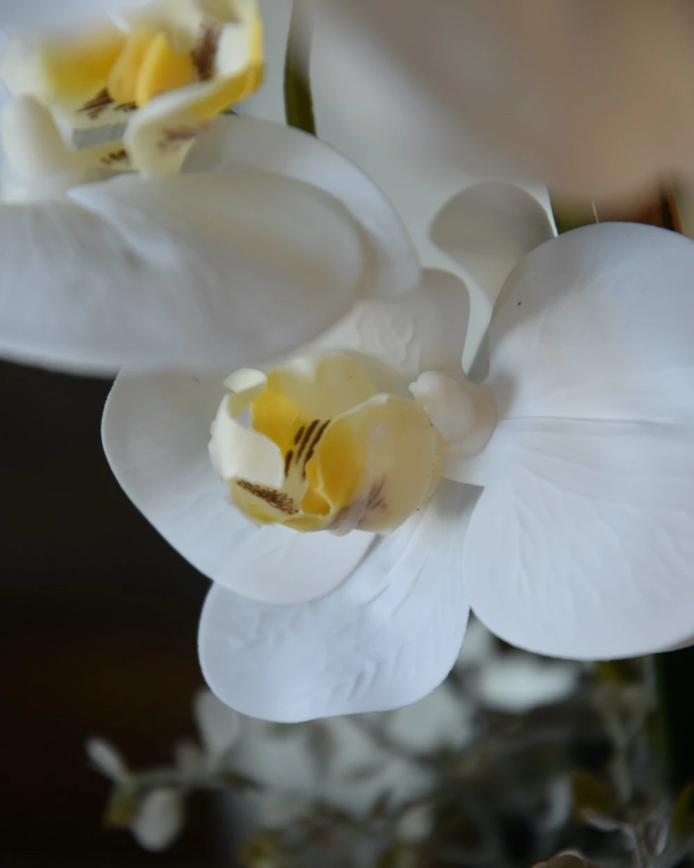 Phalaenopsis Witte Vlinder Orchidee, Real Touch 5 Phalaenopsis Witte Vlinder Orchidee, Real Touch - Afbeelding 3