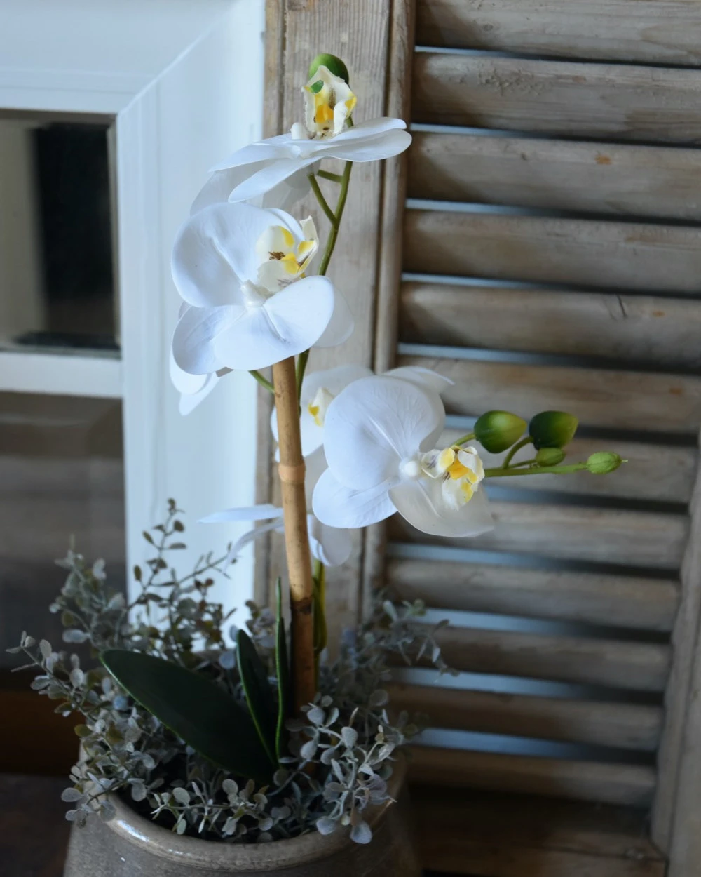 Phalaenopsis Witte Vlinder Orchidee, Real Touch 6 Phalaenopsis Witte Vlinder Orchidee, Real Touch - Afbeelding 4