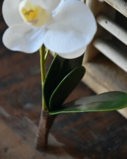 Phalaenopsis Witte Vlinder Orchidee, Real Touch 12 Phalaenopsis Witte Vlinder Orchidee, Real Touch -Bekend Decoratie Winkel phalaenopsis witte vlinder orchidee real touch 4