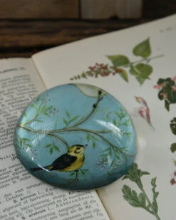Presse Papier Met Vogels Op Tak In Pastel Blauw -Bekend Decoratie Winkel presse papier met vogels op tak in pastel blauw 3