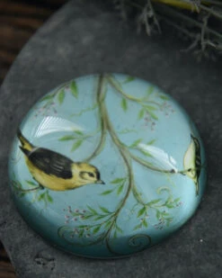 Presse Papier Met Vogels Op Tak In Pastel Blauw -Bekend Decoratie Winkel presse papier met vogels op tak in pastel blauw 7