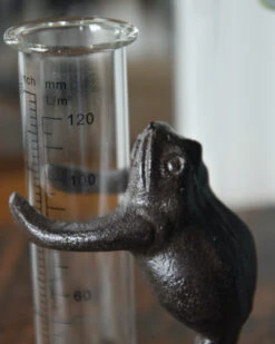 Regenmeter Kikker Op Lelieblad Die De Glazen Meter Vasthoud -Bekend Decoratie Winkel regenmeter kikker op lelieblad die de glazen meter vasthoud 2