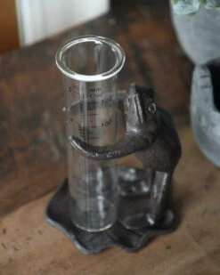 Regenmeter Kikker Op Lelieblad Die De Glazen Meter Vasthoud -Bekend Decoratie Winkel regenmeter kikker op lelieblad die de glazen meter vasthoud 4