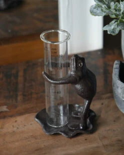 Regenmeter Kikker Op Lelieblad Die De Glazen Meter Vasthoud -Bekend Decoratie Winkel regenmeter kikker op lelieblad die de glazen meter vasthoud 5