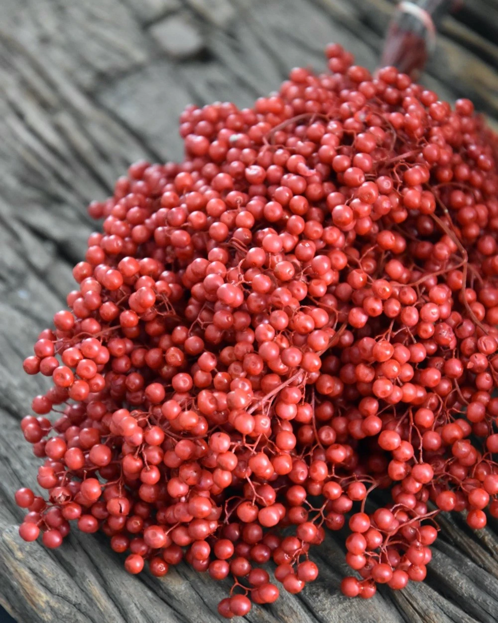 Rode Peperbessen, Gedroogd 4 Rode Peperbessen, Gedroogd - Afbeelding 2