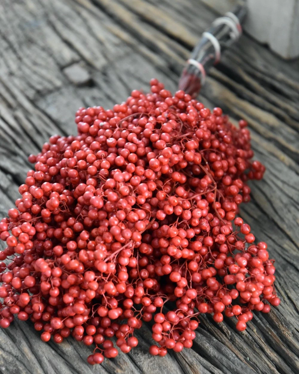 Rode Peperbessen, Gedroogd 6 Rode Peperbessen, Gedroogd - Afbeelding 4