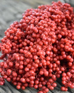 Rode Peperbessen, Gedroogd 12 Rode Peperbessen, Gedroogd -Bekend Decoratie Winkel rode peperbessen gedroogd 4