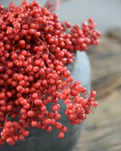 Rode Peperbessen, Gedroogd 13 Rode Peperbessen, Gedroogd -Bekend Decoratie Winkel rode peperbessen gedroogd 5