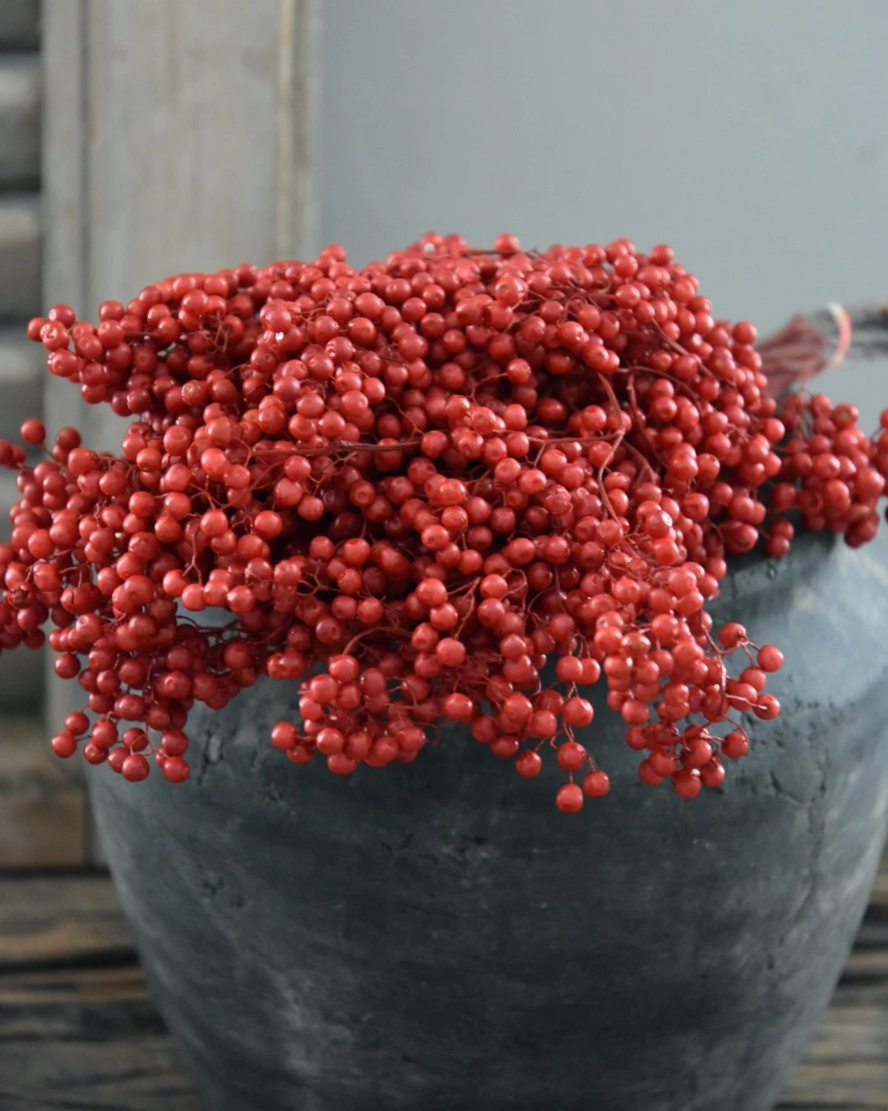 Rode Peperbessen, Gedroogd 3 Rode Peperbessen, Gedroogd