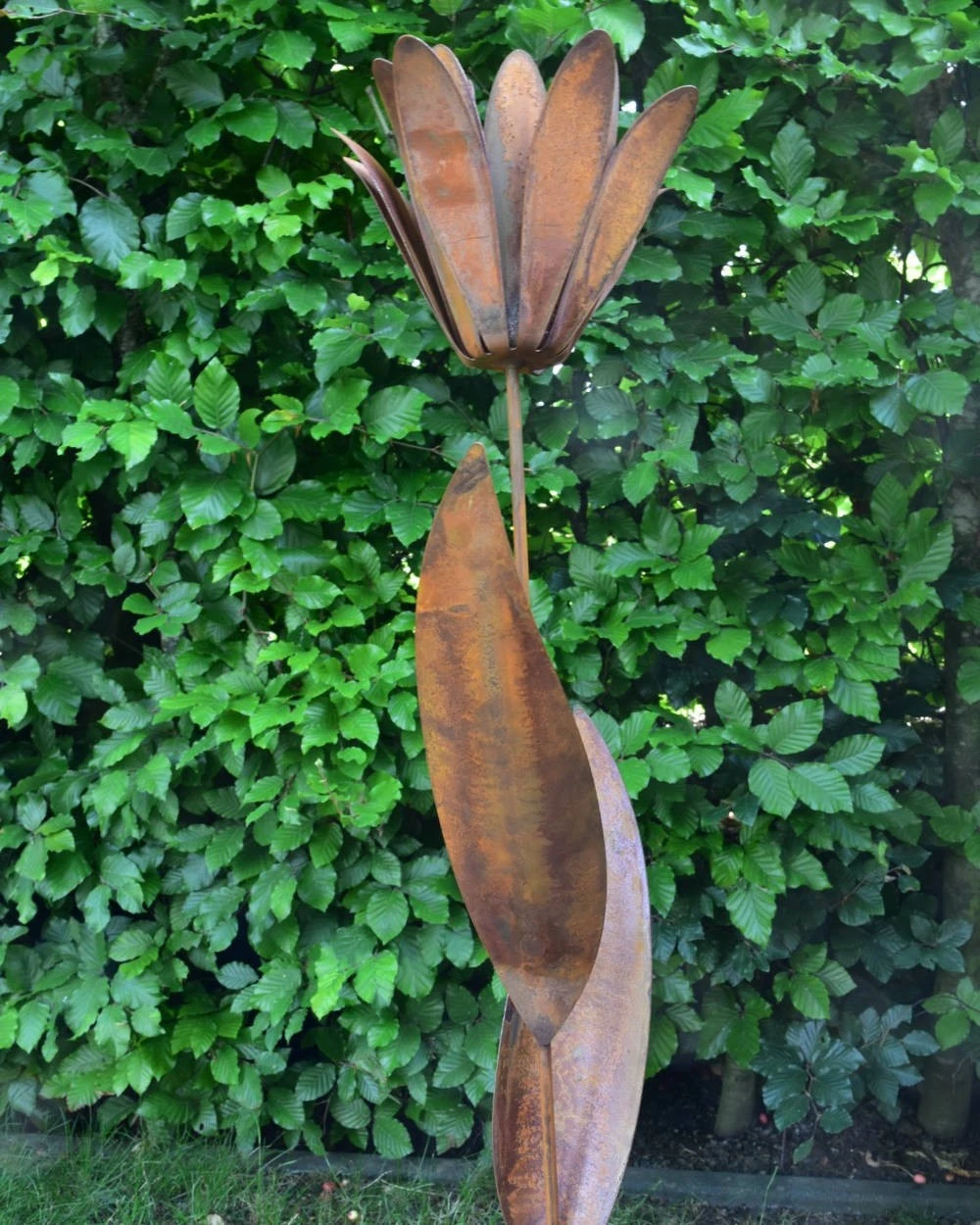 Roestbloem Als Tuinsteker 4 Roestbloem Als Tuinsteker - Afbeelding 2