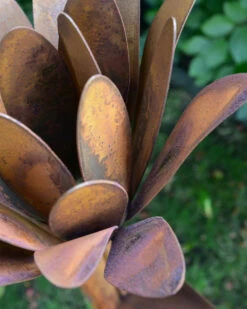 Roestbloem Als Tuinsteker 10 Roestbloem Als Tuinsteker -Bekend Decoratie Winkel roestbloem als tuinsteker 2