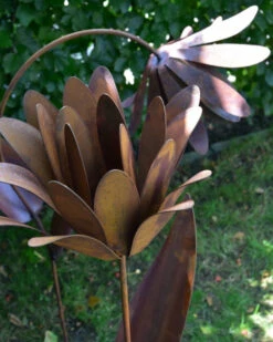 Roestbloem Als Tuinsteker 11 Roestbloem Als Tuinsteker -Bekend Decoratie Winkel roestbloem als tuinsteker 3