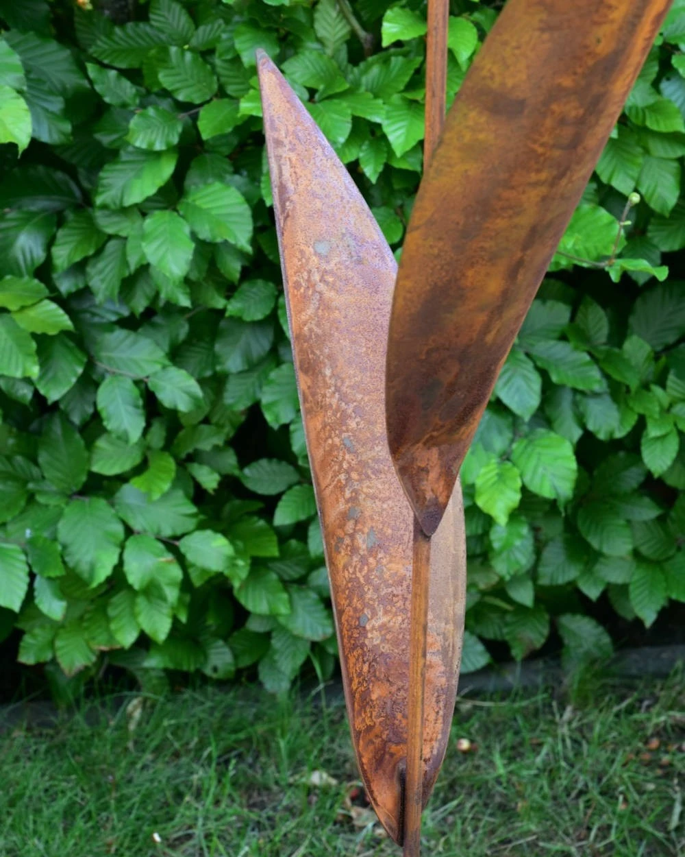 Roestbloem Als Tuinsteker 7 Roestbloem Als Tuinsteker - Afbeelding 5