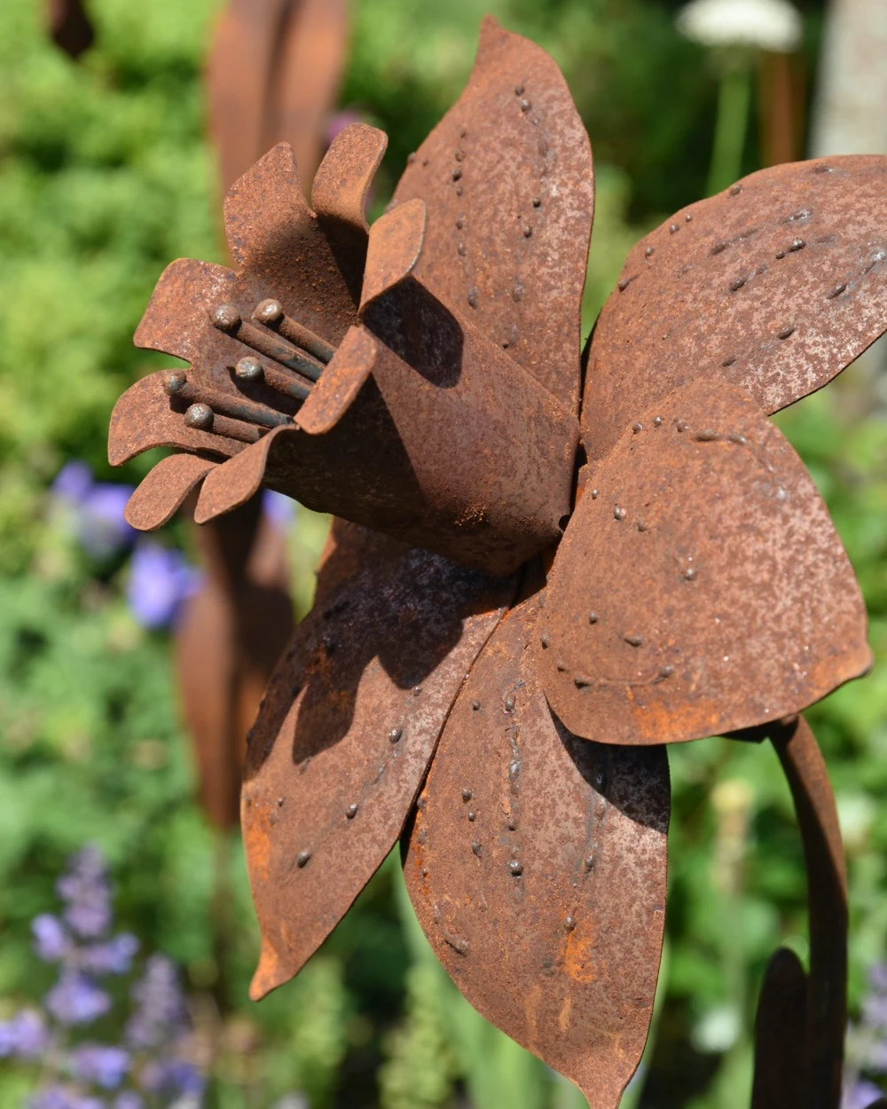 Roestbloem Tuinprikker Trompet Narcis 3 Roestbloem Tuinprikker Trompet Narcis