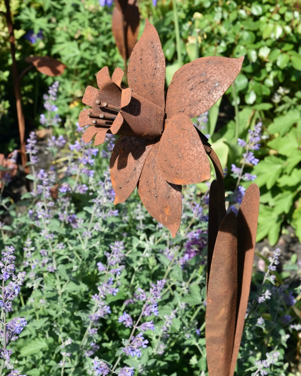 Roestbloem Tuinprikker Trompet Narcis 4 Roestbloem Tuinprikker Trompet Narcis - Afbeelding 2