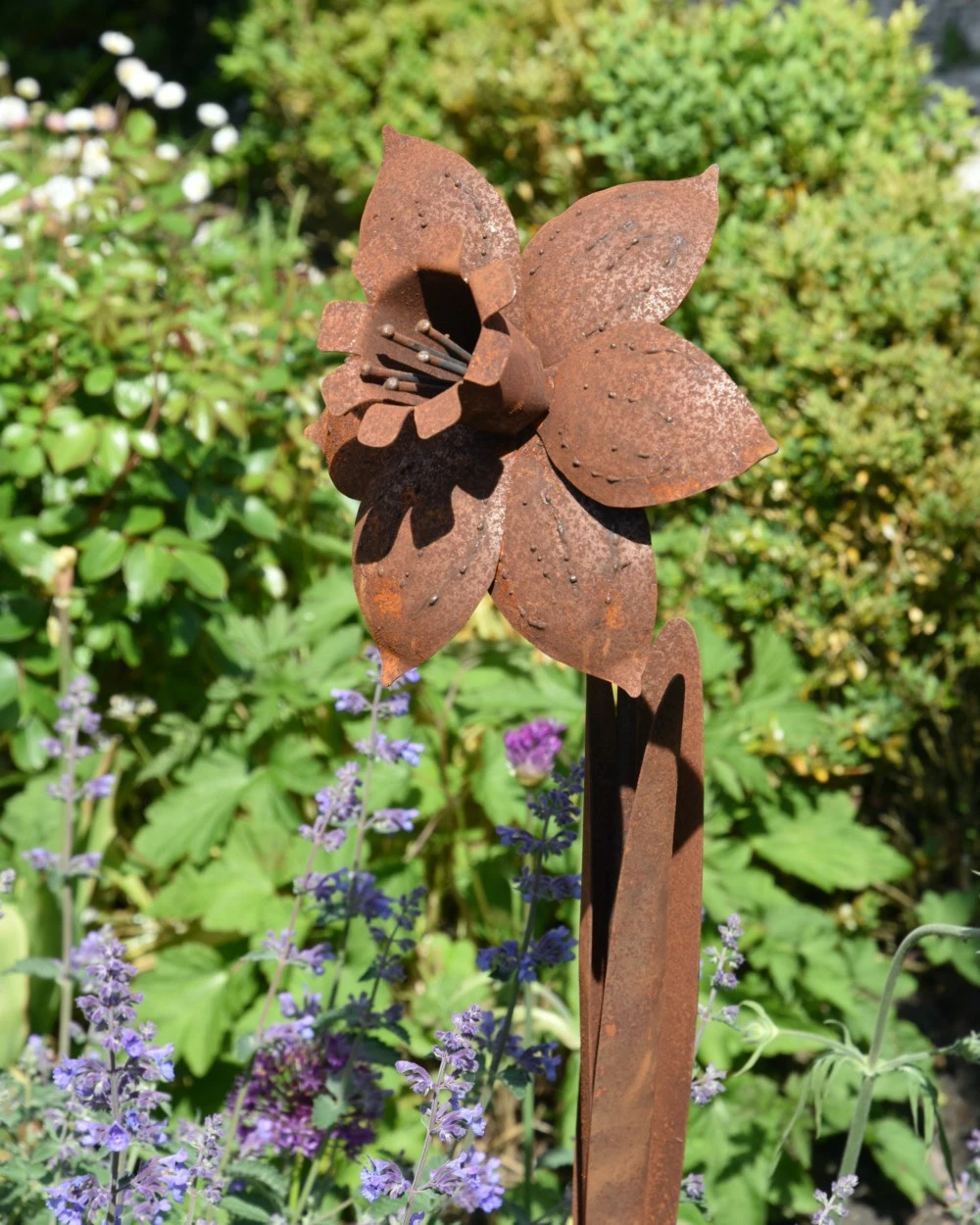 Roestbloem Tuinprikker Trompet Narcis 6 Roestbloem Tuinprikker Trompet Narcis - Afbeelding 4