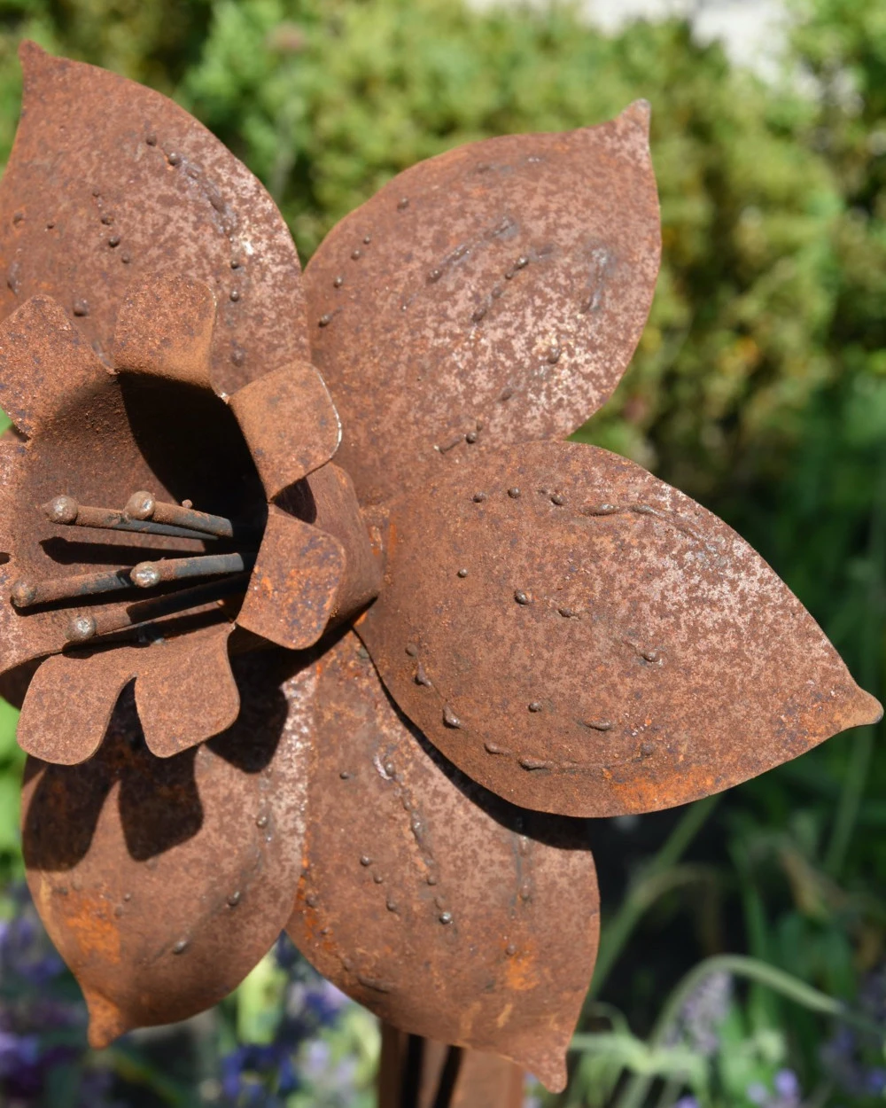 Roestbloem Tuinprikker Trompet Narcis 7 Roestbloem Tuinprikker Trompet Narcis - Afbeelding 5