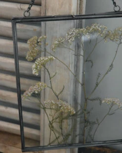 Geperste Schermbloemen In Een Lijst Met Kettinkje