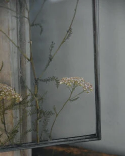 Geperste Schermbloemen In Een Lijst Met Kettinkje 14 Geperste Schermbloemen In Een Lijst Met Kettinkje -Bekend Decoratie Winkel schermbloemen in een grote lijst met kettinkje 4