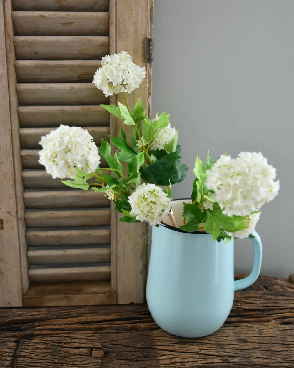 Sneeuwbal, Viburnum Tak 4 Sneeuwbal, Viburnum Tak - Afbeelding 2