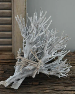 Takken Bundel White-wash 9 Takken Bundel White-wash -Bekend Decoratie Winkel takken bundel white wash 1 2