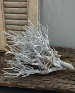 Takken Bundel White-wash 11 Takken Bundel White-wash -Bekend Decoratie Winkel takken bundel white wash 1 4