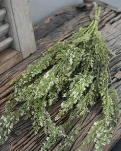 Toef Groen Met Fijne Witte Bloemetjes 10 Toef Groen Met Fijne Witte Bloemetjes -Bekend Decoratie Winkel toef groen met fijne witte bloemetjes 2