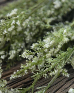 Toef Groen Met Fijne Witte Bloemetjes 11 Toef Groen Met Fijne Witte Bloemetjes -Bekend Decoratie Winkel toef groen met fijne witte bloemetjes 3