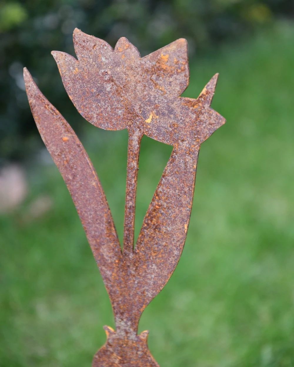 Tulp Op Prikker, Metaal Roest 5 Tulp Op Prikker, Metaal Roest - Afbeelding 3