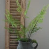 Vertakte Groene Varen 1 Vertakte Groene Varen -Bekend Decoratie Winkel vertakte groene varen