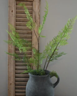 Vertakte Groene Varen