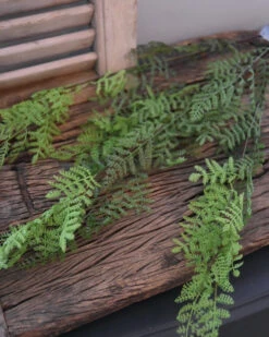 Vertakte Groene Varen -Bekend Decoratie Winkel vertakte groene varen 4