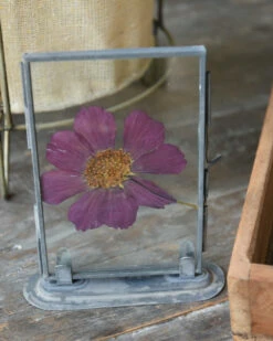 Violet Kleurige Geperste Bloem In Lijstje -Bekend Decoratie Winkel violet kleurige geperste bloem in lijstje 3