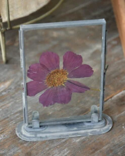 Violet Kleurige Geperste Bloem In Lijstje -Bekend Decoratie Winkel violet kleurige geperste bloem in lijstje 4