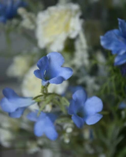 Zijde Boeket Met Tuinbloemen In Het Blauw Wit 12 Zijde Boeket Met Tuinbloemen In Het Blauw Wit -Bekend Decoratie Winkel zijde boeket met tuinbloemen in het blauw wit 2
